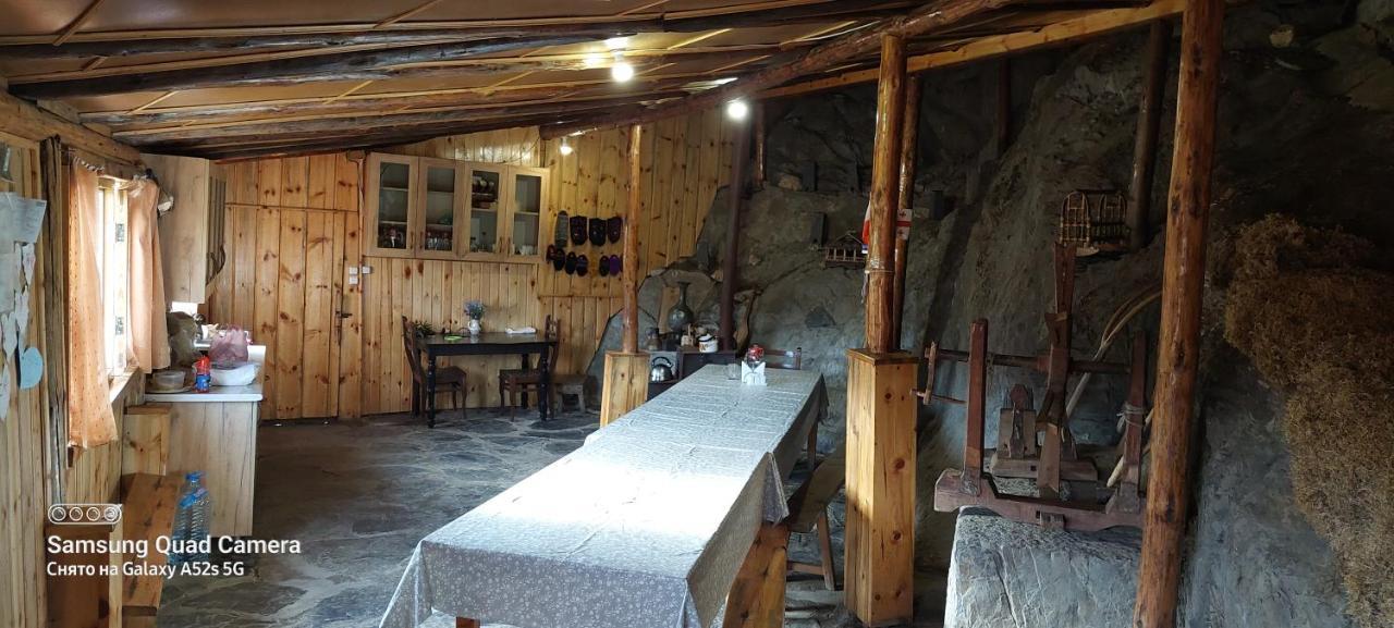 Guest House Tsasne Omalo Dış mekan fotoğraf